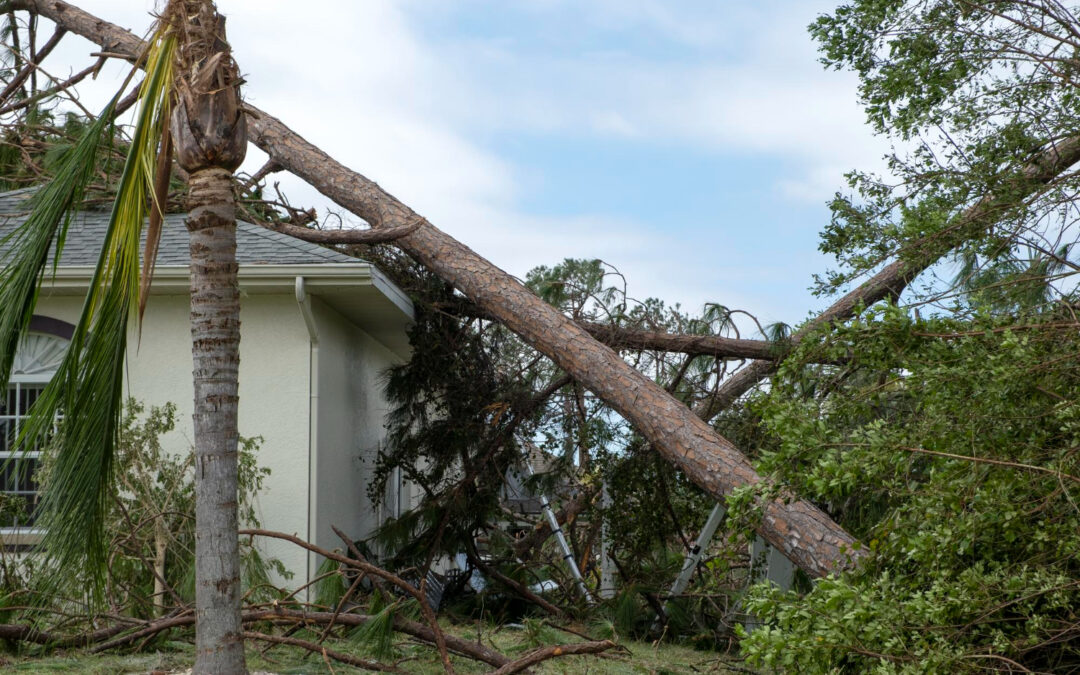 Storm Damage