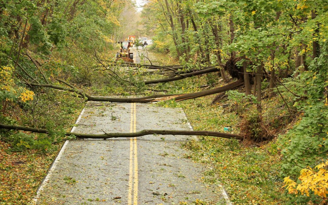 hurricane damage