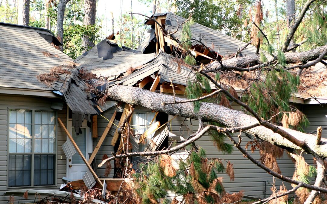 hurricane damage