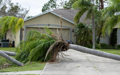 Top Approaches To File For Hurricane Damage In Florida
